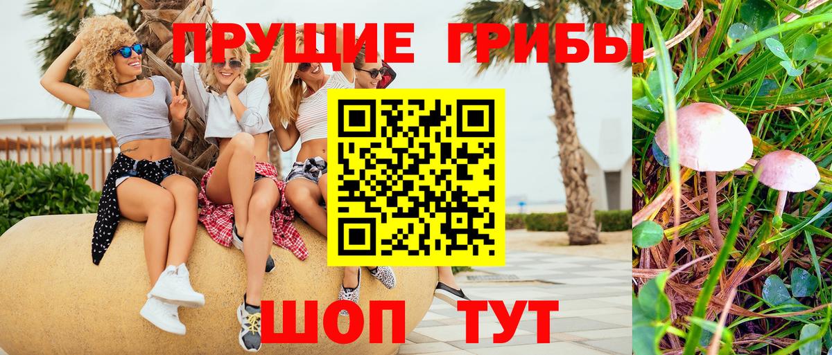 Галлюциногенные грибы GOLDEN TEACHER Владивосток